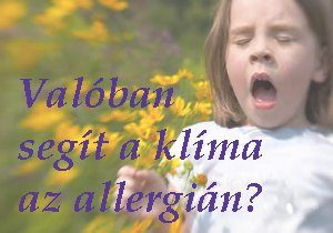 klíma allergia ellen